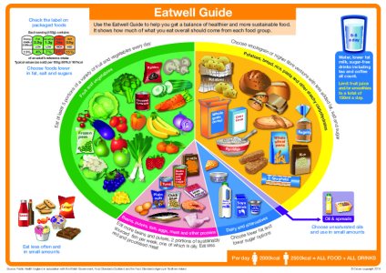 NHS Eatwell Guide