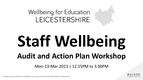 Wellbeing for Education Leicestershire Staff Wellbeing Audit and Action Plan Workshop (March 2023) Slide deck