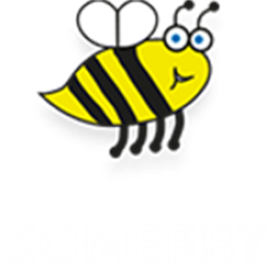 Somerby Primary School